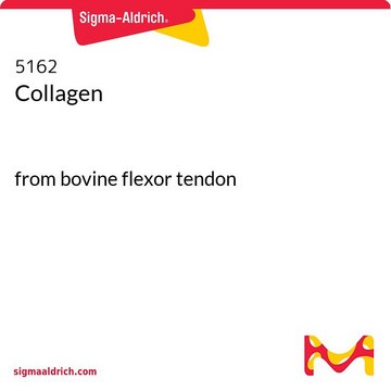 COLLAGEN, BOVINE TENDON, LYOPHILIZED, F&