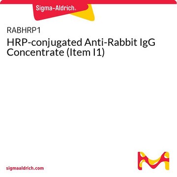 HRP-conjugated Anti-Rabbit IgG Concentrate (Item
