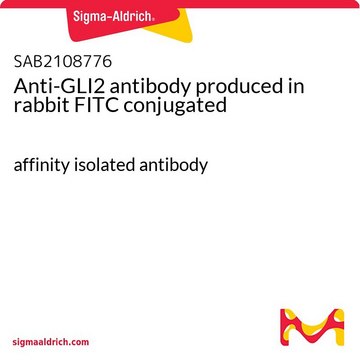 Anti-GLI2 antibody produced in rabbit