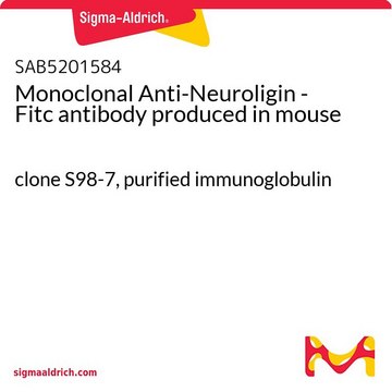 Monoclonal Anti-Neuroligin - Fitc antibody