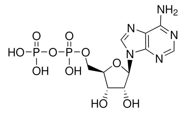 ADENOSINE 5''-DIPHOSPHATE