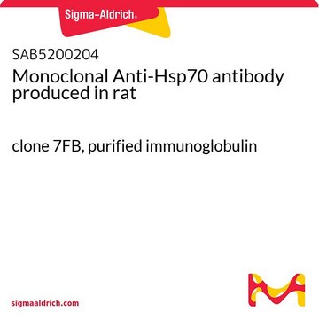 Monoclonal Anti-Hsp70 antibody produced in