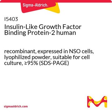 Insulin-Like Growth Factor Binding Protein-2
