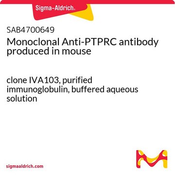 Monoclonal Anti-PTPRC antibody produced in