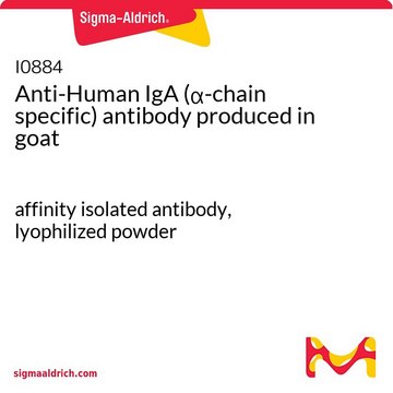 Anti-Human IgA (?-chain specific) antibody