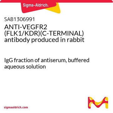ANTI-VEGFR2 (FLK1/KDR)(C-TERMINAL) antibody produced in