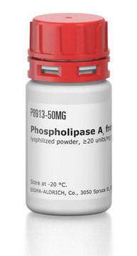 Phospholipase A? from bovine pancreas
