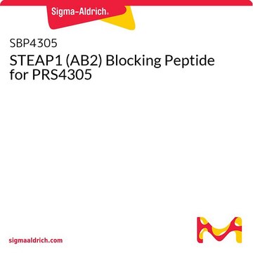 STEAP1 (AB2) Blocking Peptide for