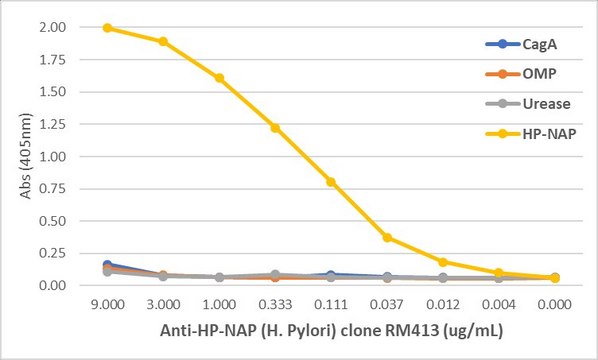 Anti-HP-NAP (Helicobacter Pylori) Rabbit Monoclonal