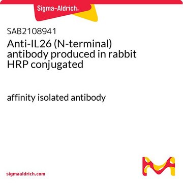 Anti-IL26 (N-terminal) antibody produced in