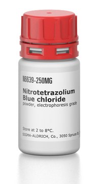 Nitrotetrazolium Blue chloride