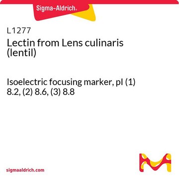 Lectin from Lens culinaris (lentil)