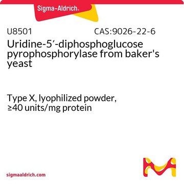 Uridine-5?-diphosphoglucose pyrophosphorylase from baker’s yeast