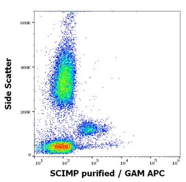 Monoclonal Anti-SCIMP antibody produced in