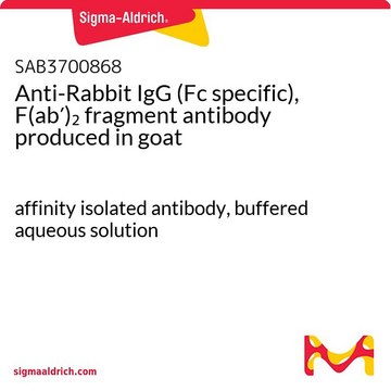 Anti-Rabbit IgG (Fc specific), F(ab?)?