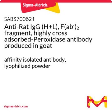 Anti-Rat IgG (H+L), F(ab?)? fragment,