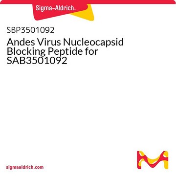 Andes Virus Nucleocapsid Blocking Peptide