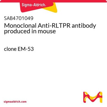 Monoclonal Anti-RLTPR antibody produced in