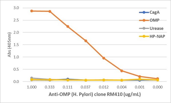 Anti-OMP (Helicobacter Pylori) Rabbit Monoclonal