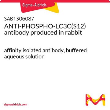 ANTI-PHOSPHO-LC3C(S12) antibody produced in rabbit