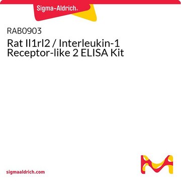 Rat Il1rl2 / Interleukin-1 Receptor-like