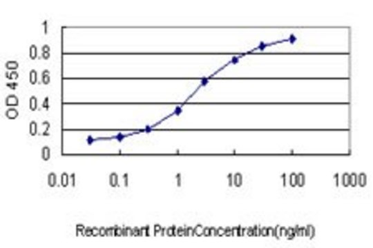Monoclonal Anti-TUBB2 antibody produced in