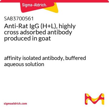 Anti-Rat IgG (H+L), highly cross