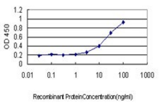 Monoclonal Anti-ZNF37A antibody produced in