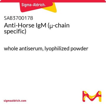 Anti-Horse IgM (?-chain specific)