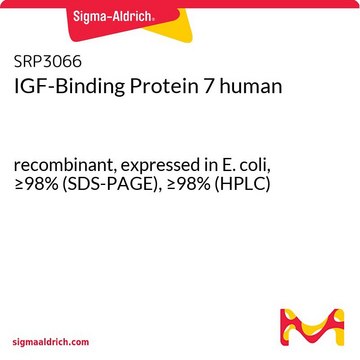 IGF-Binding Protein 7 human