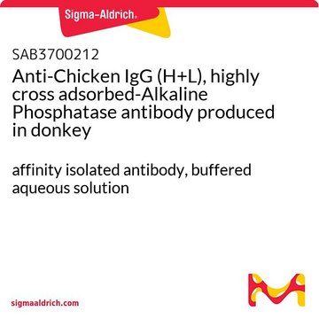 Anti-Chicken IgG (H+L), highly cross