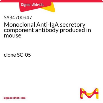 Monoclonal Anti-IgA secretory component antibody