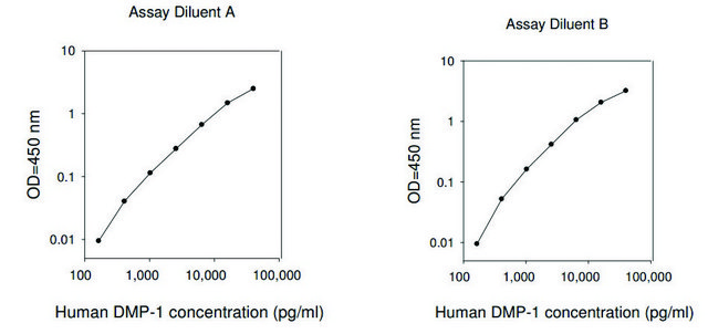 Human DMP1 / Dentin Matrix