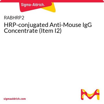 HRP-conjugated Anti-Mouse IgG Concentrate (Item
