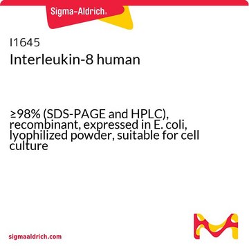 Interleukin-8 human