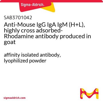 Anti-Mouse IgG IgA IgM (H+L),