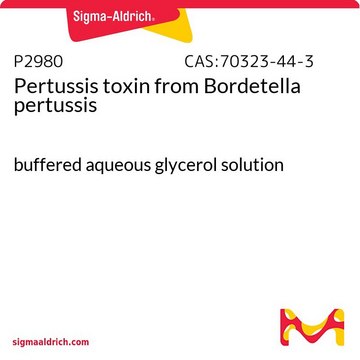 Pertussis toxin from Bordetella pertussis