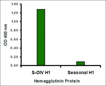 Anti-Swine H1N1 Hemagglutinin antibody produced