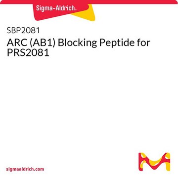 ARC (AB1) Blocking Peptide for