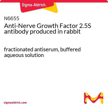 Anti-Nerve Growth Factor 2.5S antibody