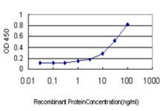 Monoclonal Anti-PRKACB antibody produced in