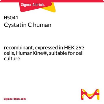 Cystatin C human