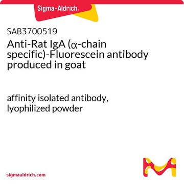 Anti-Rat IgA (?-chain specific)-Fluorescein antibody