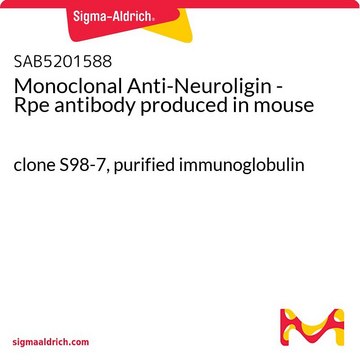 Monoclonal Anti-Neuroligin - Rpe antibody
