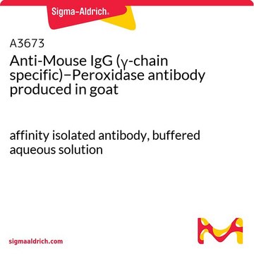 Anti-Mouse IgG (?-chain specific)?Peroxidase antibody