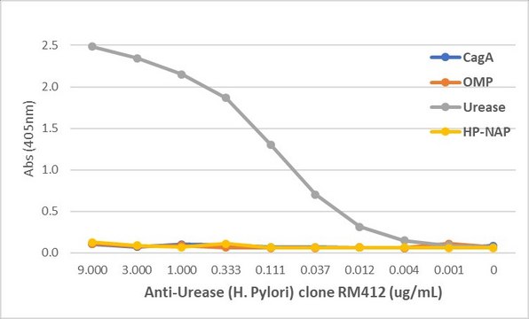 Anti-Urease (Helicobacter Pylori) Rabbit Monoclonal