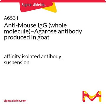 Anti-Mouse IgG (whole molecule)?Agarose antibody
