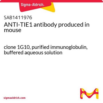 ANTI-TIE1 antibody produced in mouse