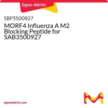 MORF4 Influenza A M2 Blocking