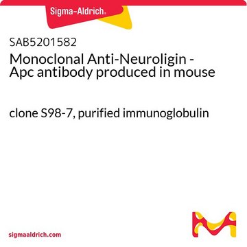 Monoclonal Anti-Neuroligin - Apc antibody
